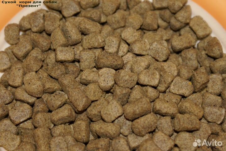 Полнорационный корм для собак