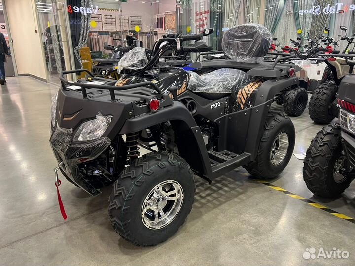 Квадроцикл rato roush 250 (новый)