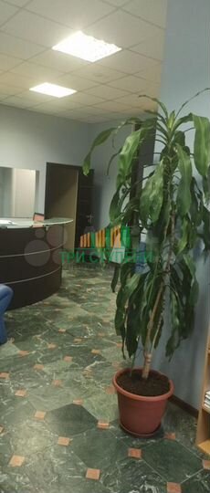 Продажа помещения