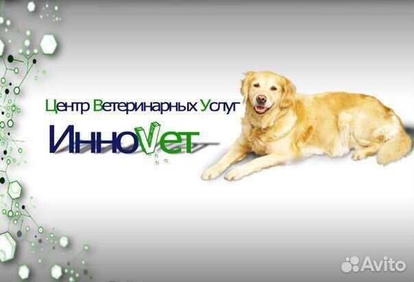 Ассистент ветеринарного врача