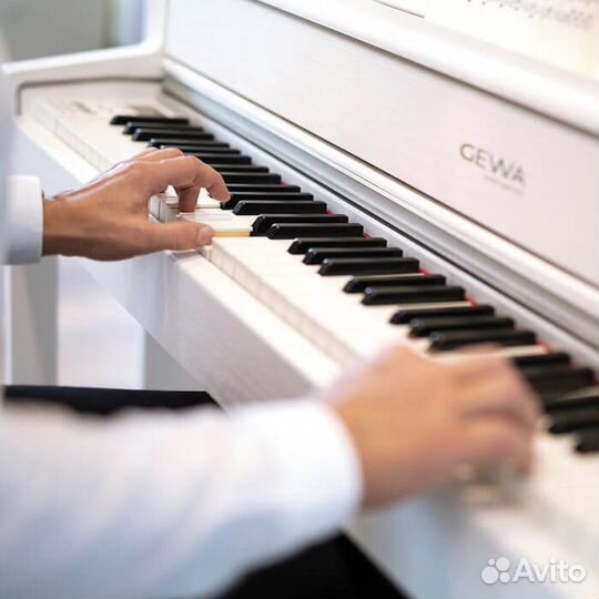 Цифровое пианино корпусное (комплект)