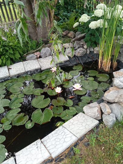 Дача 50 м² на участке 6 сот.