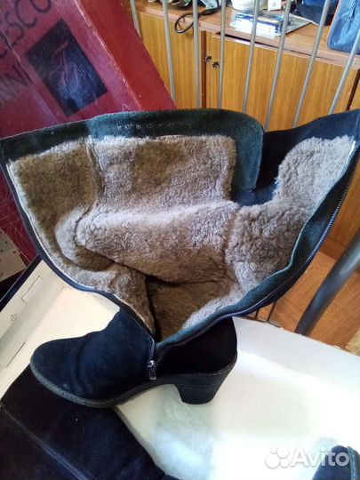 Сапоги натуральная замша
