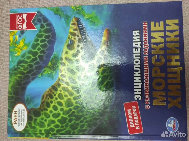 Детские книги большого формата