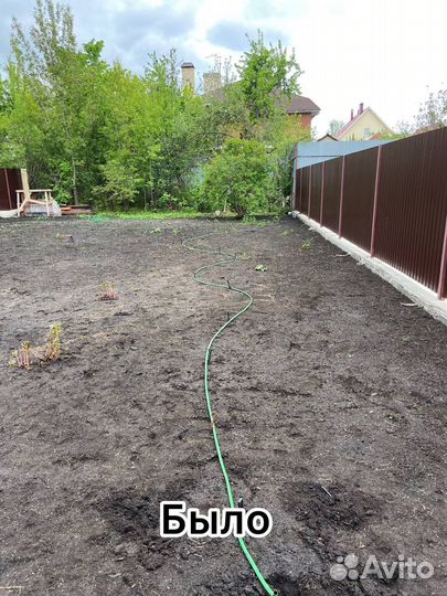 Рулонный газон и система Автополива