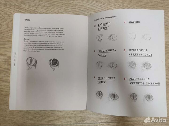 Книга для обучения рисования кошек