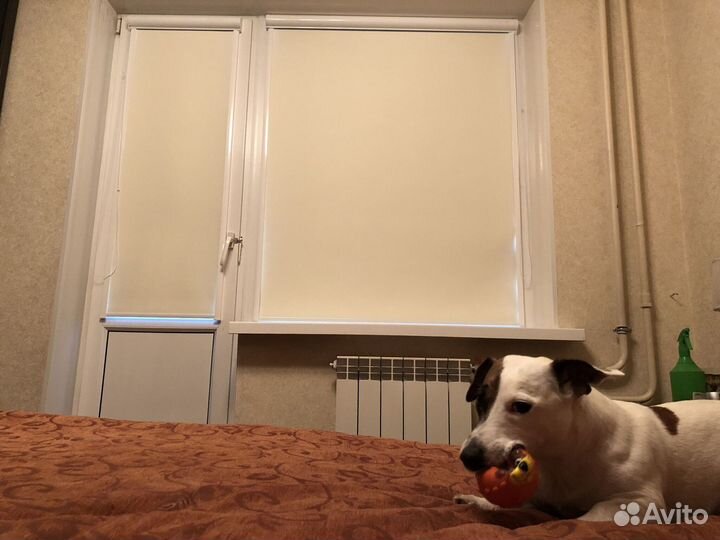 Рулонные шторы уни