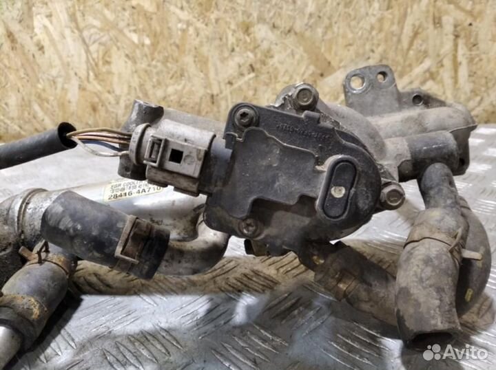 Радиатор системы EGR Hyundai Starex h1 grand stare