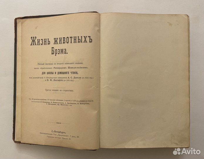 Брэм. Жизнь животных. Том 1. Млекопитающие