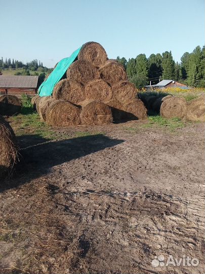 Сено в рулонах и тюках