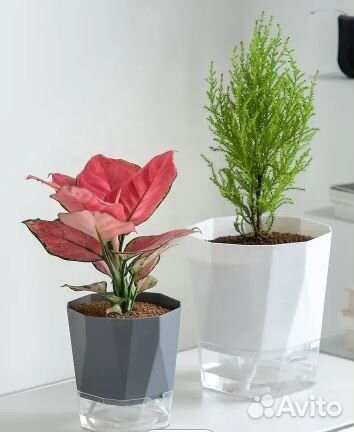 Горшок для цветов