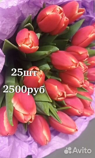 Купить красную гвоздику Тольятти