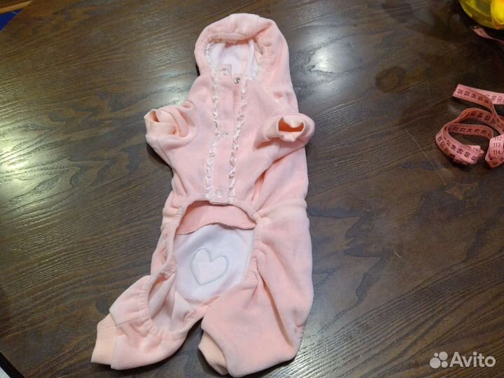 Одежда для маленьких пород собак