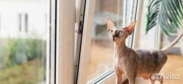 Остекление балкона