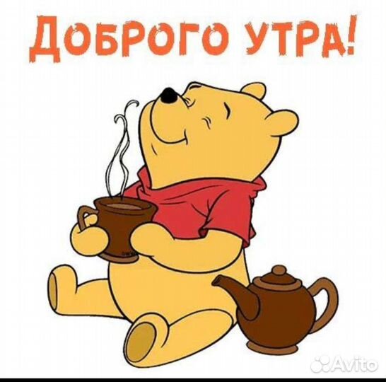 Цыплята домашние