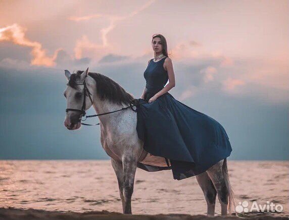 Конные прогулки