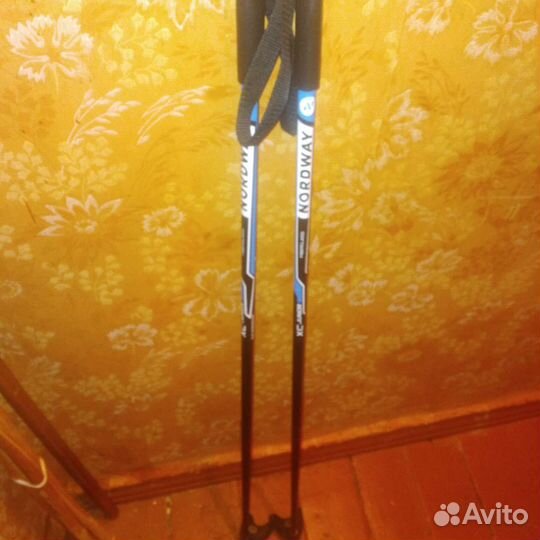 Лыжные палки