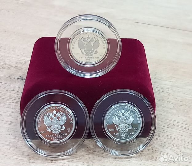 Войска р/э борьбы:Инфауна,Красуха,Эмблема, 2024г