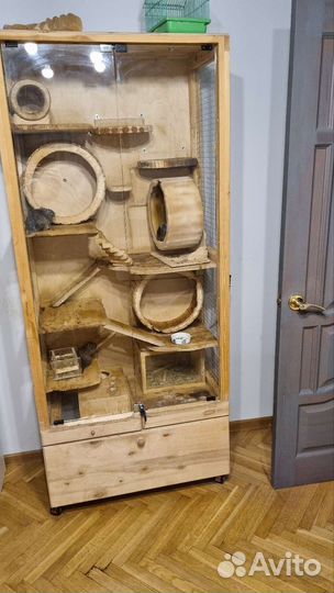 Витрина для грызунов