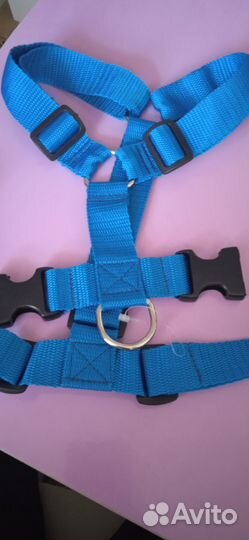 Амуниция для собак