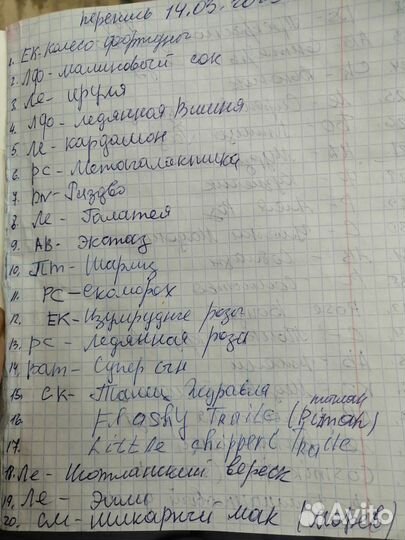 Черенки сортовых фиалок