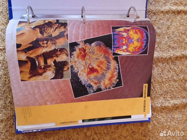 Коллекция развивающих журналов