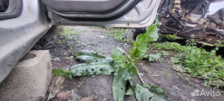 Задний правый дверь Ford Focus 2