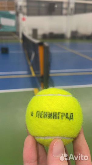 Теннисные мячи ленинград большого тенниса 1 банка