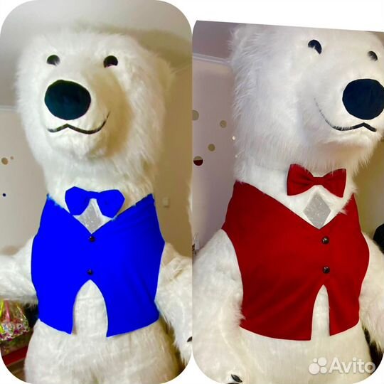 Гиганский медведь