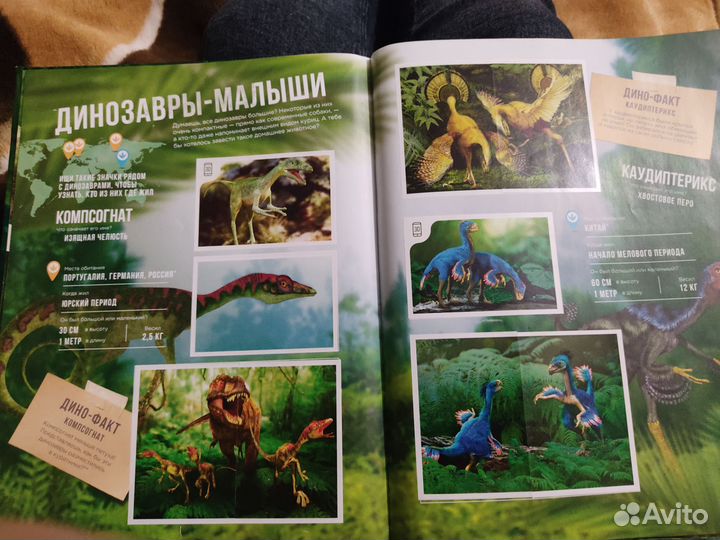 Книга Динозавры