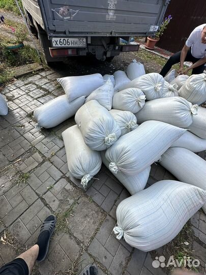 Зерноотходы пшеницы