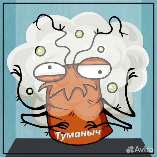 Туманыч. Уничтожение тараканов, обработка