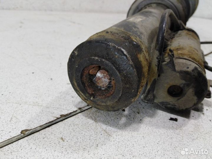 Пневмоамортизатор передний A2203202438