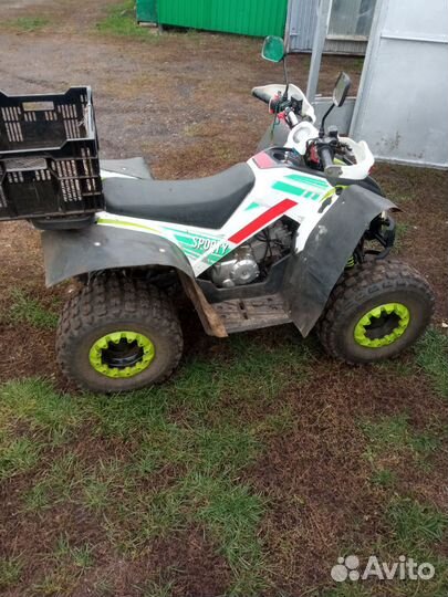 Квадроцикл