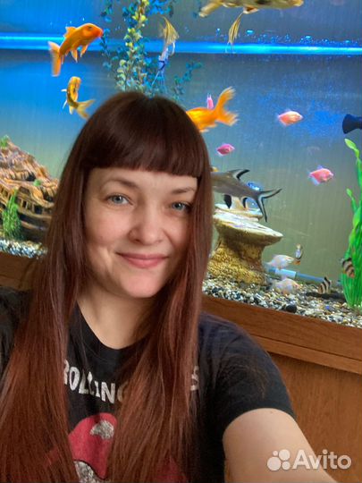 Обслуживание аквариумов