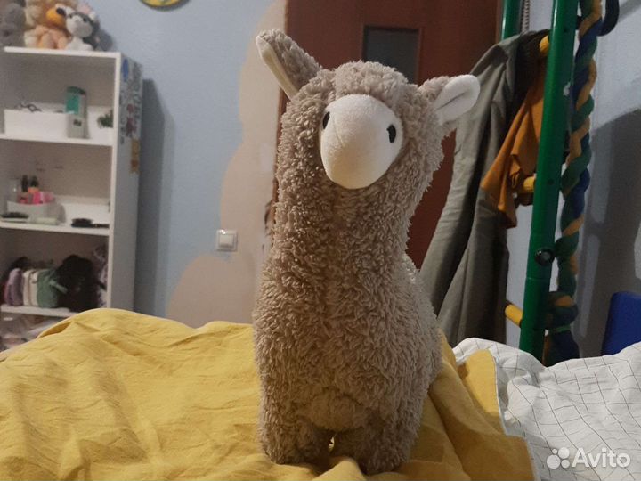 Альпака,лама