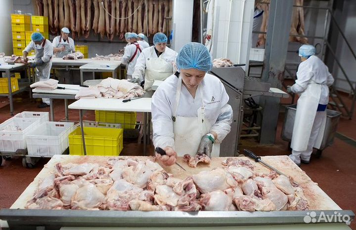 Обработка птицы