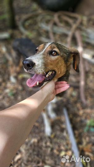 Девочка примерно 2,5 года