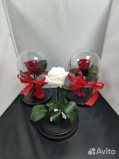 Роза в колбе