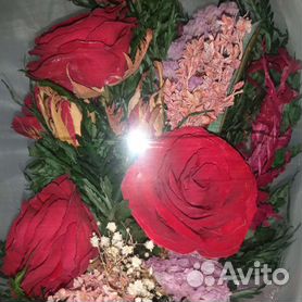 Живые цветы в стекле СПб | Цветы в вакууме