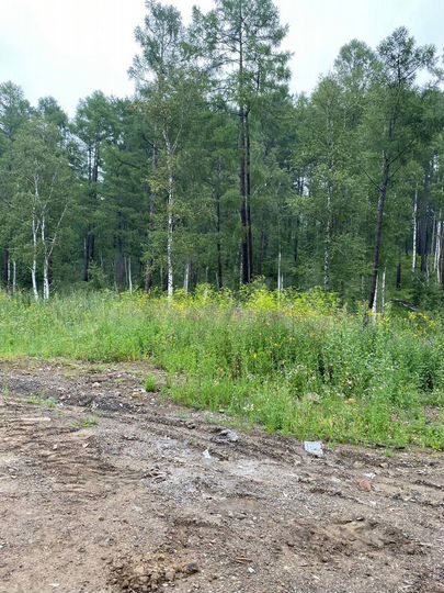 Участок 7,8 сот. (СНТ, ДНП)