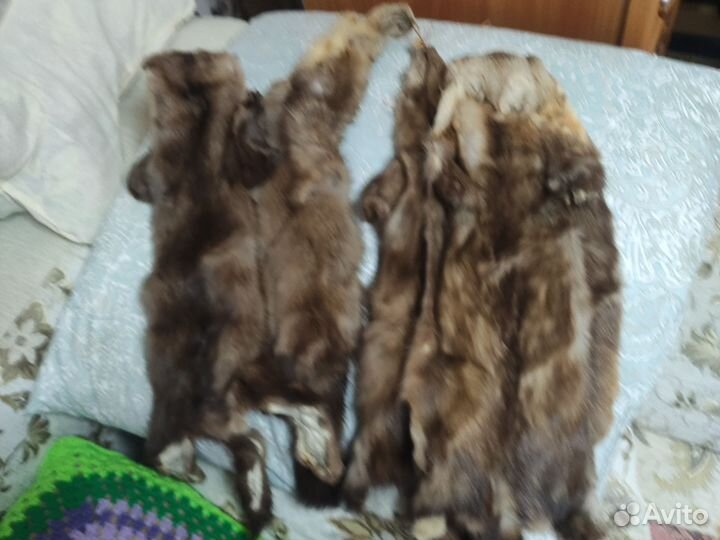 Шкурки норки
