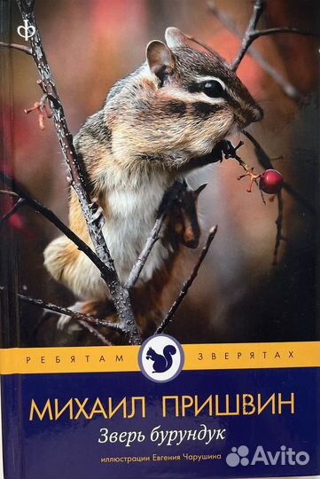 Книги для внеклассного чтения