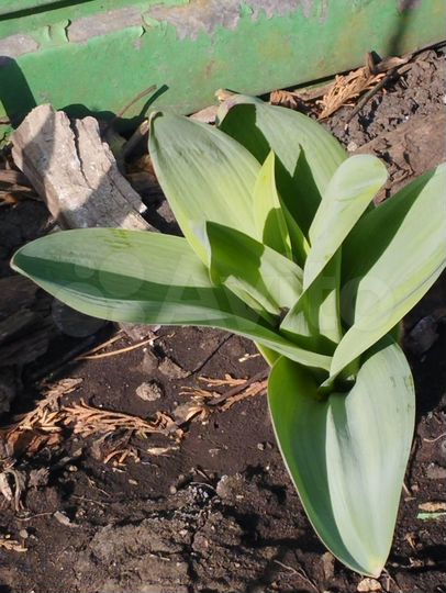 Дом 84 м² на участке 5 сот.