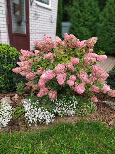 Дом 171,3 м² на участке 8 сот.