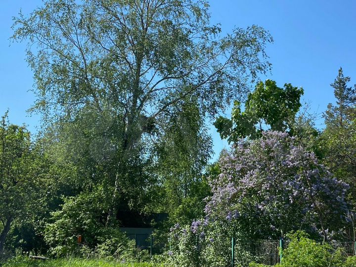 Дача 50 м² на участке 12 сот.