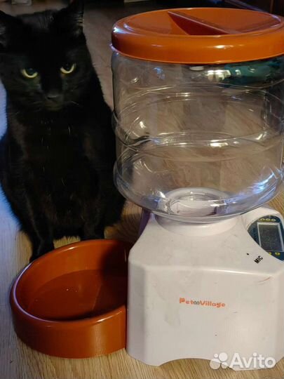 Автокормушка для кошек и собак