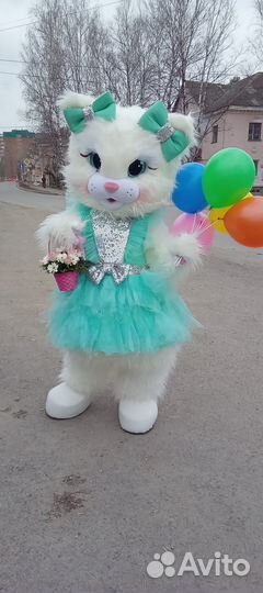 Котик, Кошечка на праздник