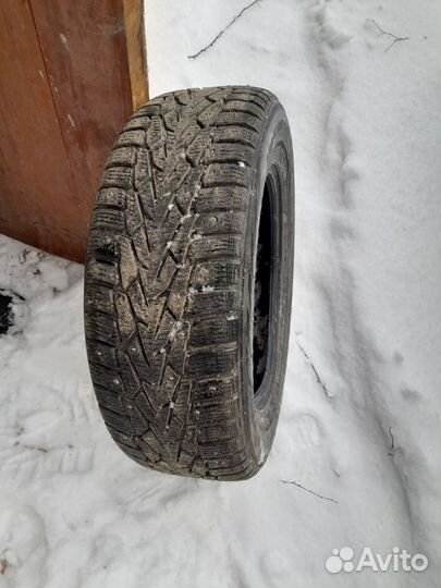 Accelera 651 195/65 R15