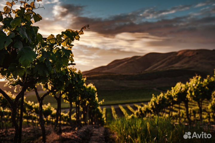 Экскурсия на Глебовское водохранилище